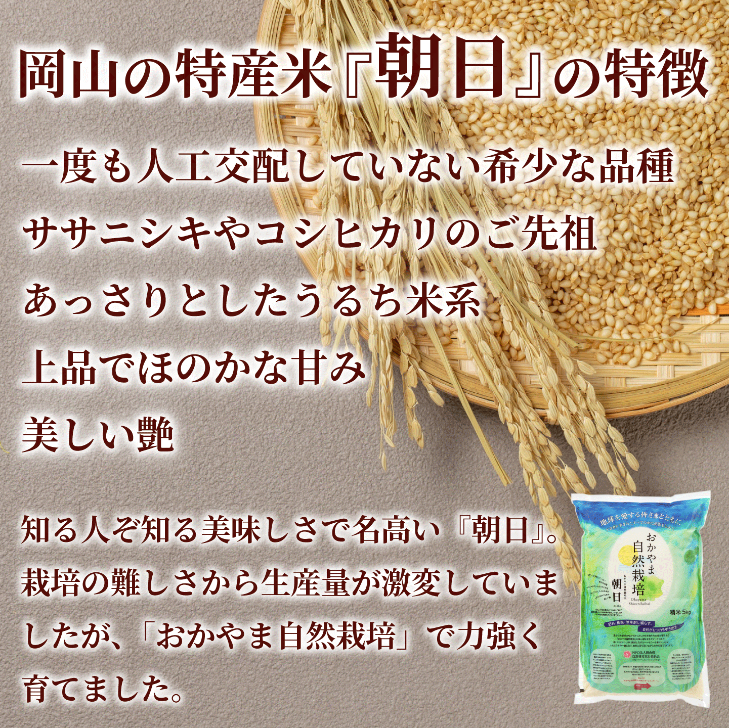 おかやま自然栽培 朝日米 白米 岡山県産 5kg