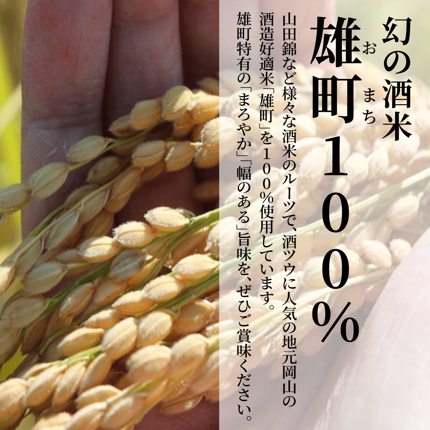 【11/1発送開始】岡山の雄町のお酒 桃太郎ラベル 燦然 100ml×2本 飲みくらべセット  ギフトBOX入り