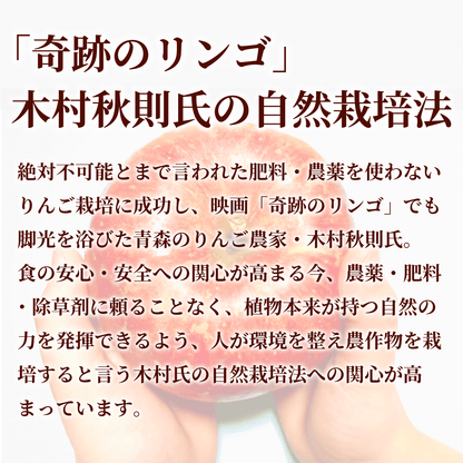 おかやま自然栽培 朝日米 玄米 岡山県産 5kg